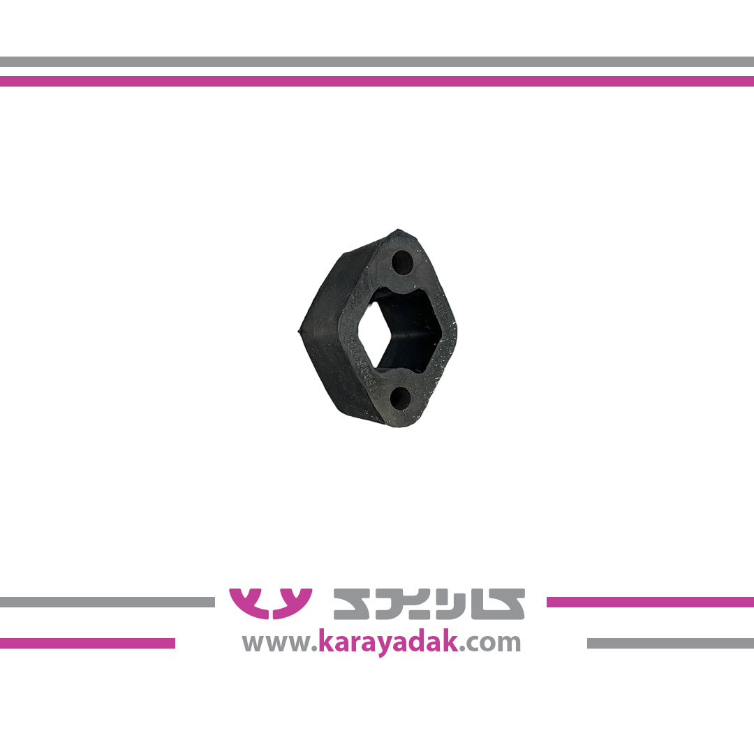 منجید اگزوز 405 چکاد 